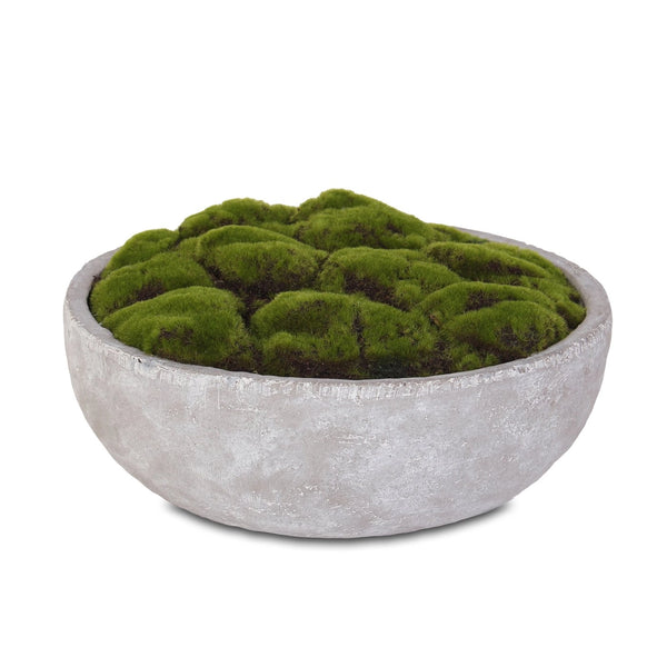 Faux Moss in Concrete Bowl