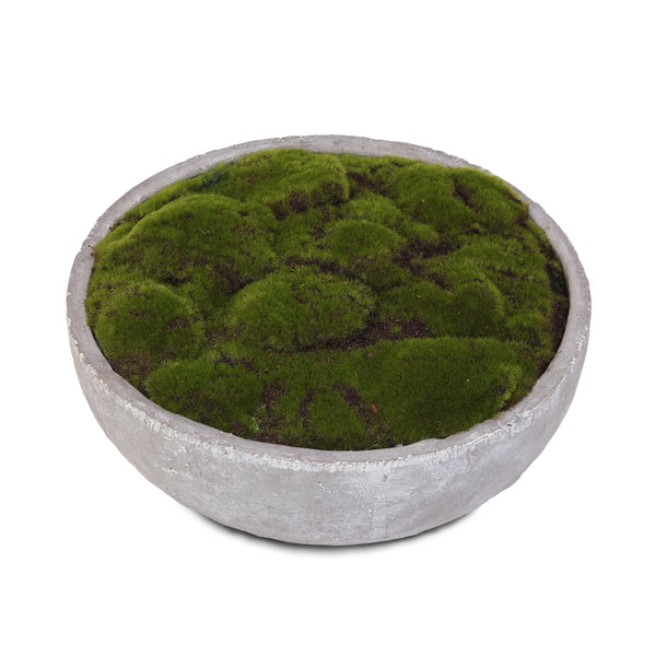 Faux Moss in Concrete Bowl